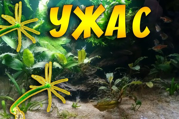 Kraken place