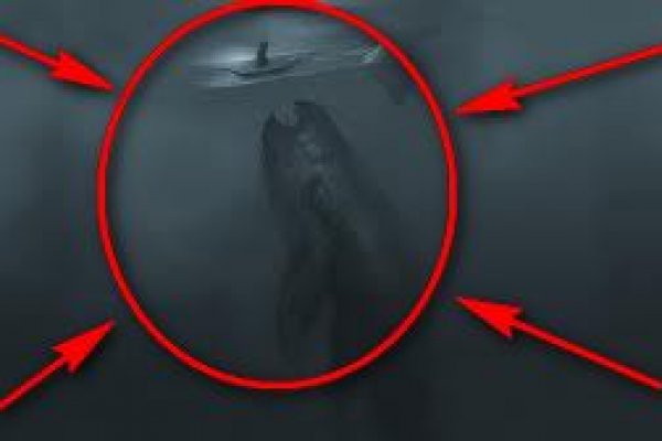 Kraken com зеркало