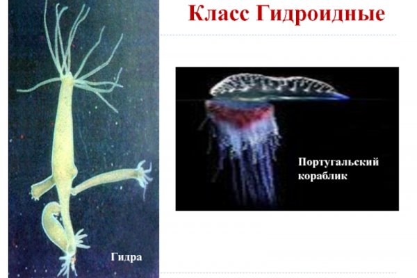 Кракен это современный даркнет