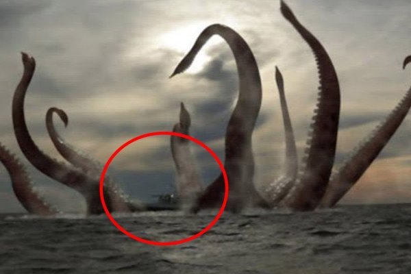 Www kraken 20at net