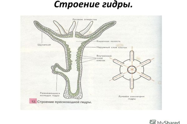 Кракен омг мега