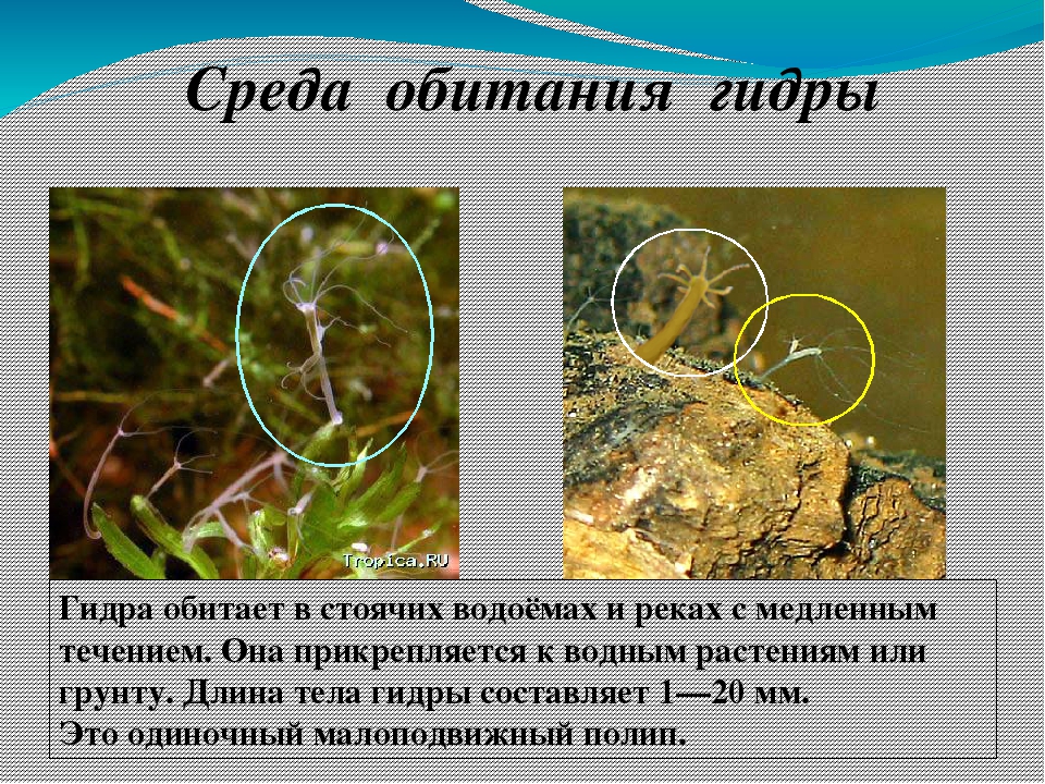 Главная страница кракен