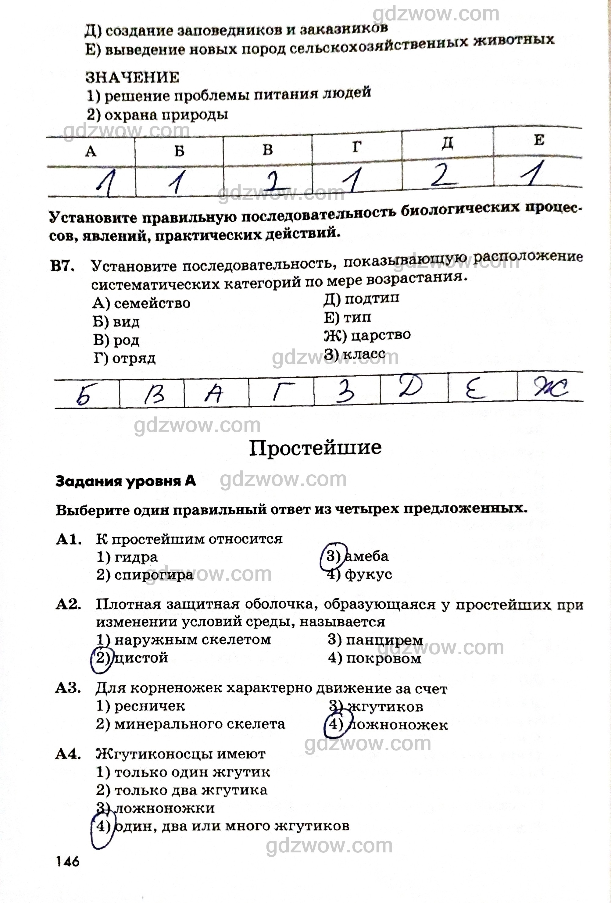 Официальный сайт даркнета