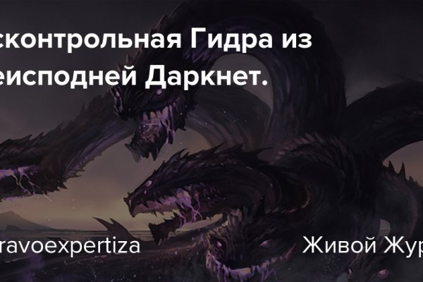 Что за приложение кракен
