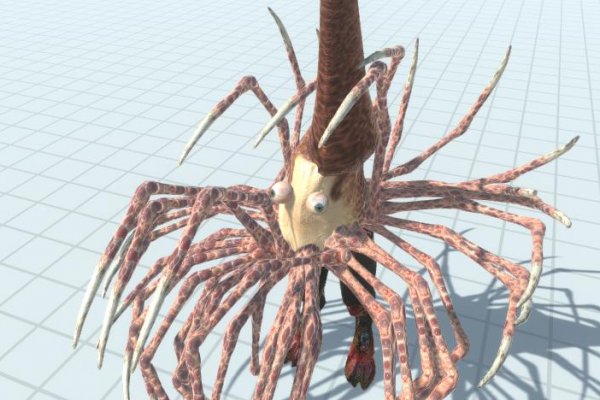 Ссылка на кракен onion kraken dark link